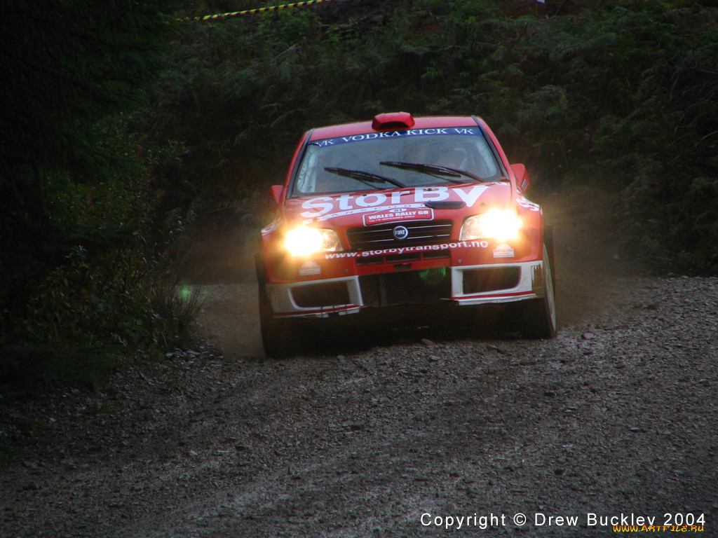 fiat, punto, rally, 